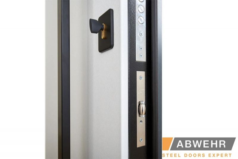 Двері Abwehr Cotage 496 UFO RAL 7016 - Фото №13