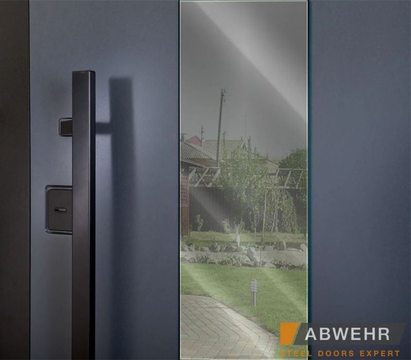 Двері Abwehr Cotage 496 UFO RAL 7016 - Фото №14
