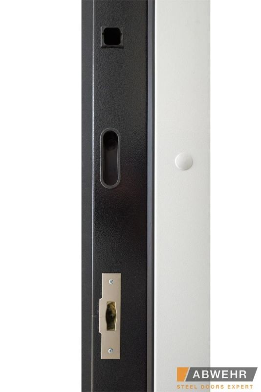 Двері Abwehr Cotage 496 UFO RAL 7016 - Фото №16