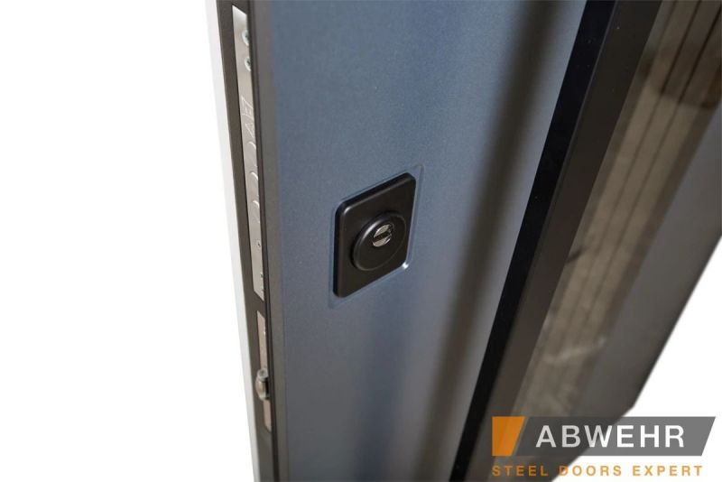 Двері Abwehr Cotage 496 UFO RAL 7016 - Фото №2