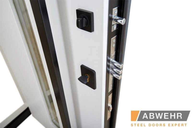 Двері Abwehr Cotage 496 UFO RAL 7016 - Фото №5