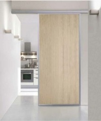 Двери BICONCEPT PLANA MINIMAL