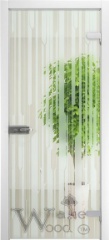Двери Allglass модель 5